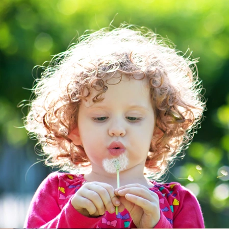 Young Child Blowing A Dandelion Seed